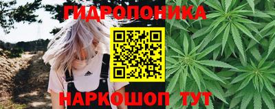 Альфа ПВП Волжск
